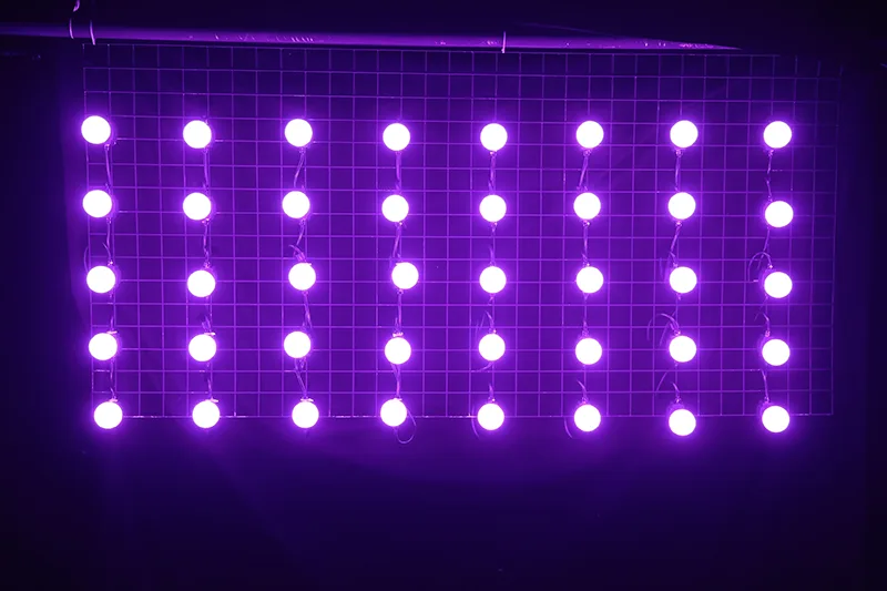 LED Festoon2 Pixel Bulb RGB